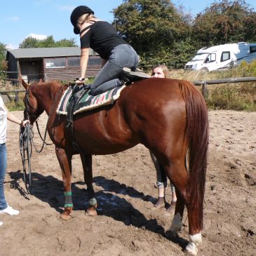 Reittherapie